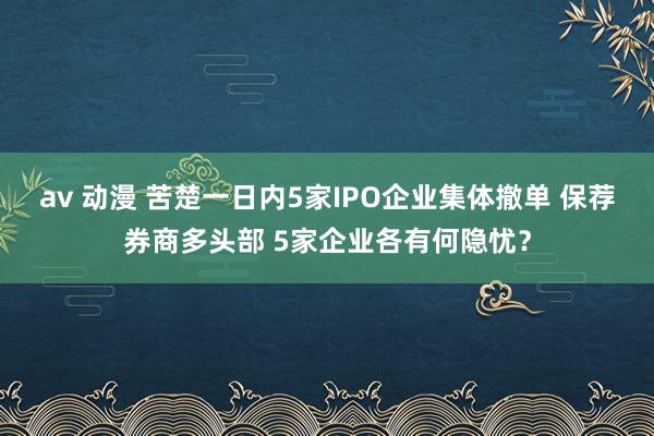 av 动漫 苦楚一日内5家IPO企业集体撤单 保荐券商多头部 5家企业各有何隐忧？