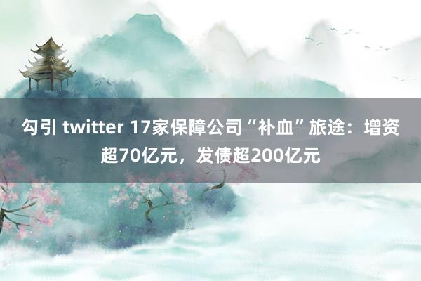 勾引 twitter 17家保障公司“补血”旅途：增资超70亿元，发债超200亿元