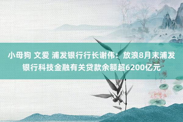 小母狗 文爱 浦发银行行长谢伟：放浪8月末浦发银行科技金融有关贷款余额超6200亿元
