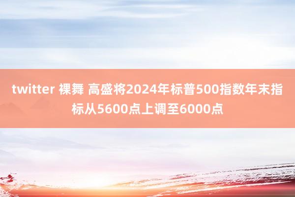 twitter 裸舞 高盛将2024年标普500指数年末指标从5600点上调至6000点