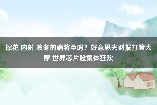 探花 内射 凛冬的确将至吗？好意思光财报打脸大摩 世界芯片股集体狂欢