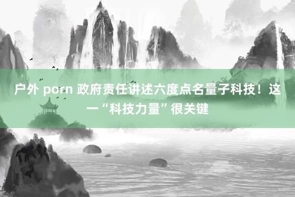 户外 porn 政府责任讲述六度点名量子科技！这一“科技力量”很关键